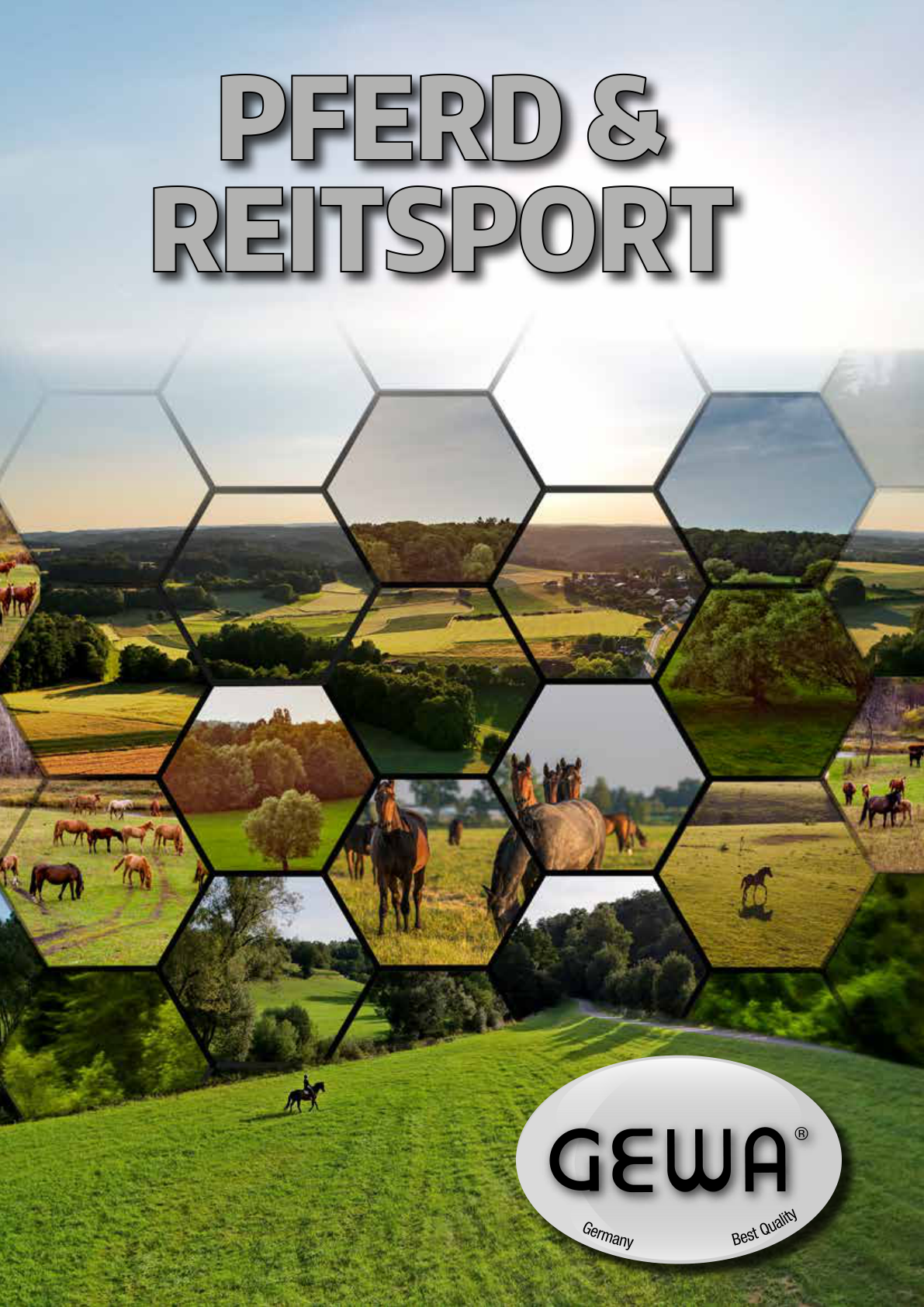 Katalog Pferd & Reitsport