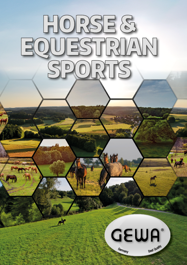 Pferd & Reitsport Englisch