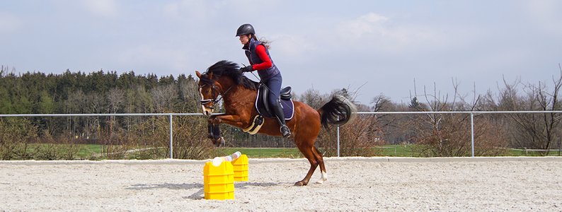 Horse & Equitation