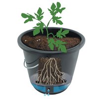 Pflanzeimer mit Bewässerungseinsatz