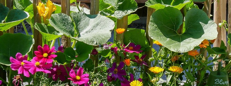 Garden - Toys - Sporting goods - Winter