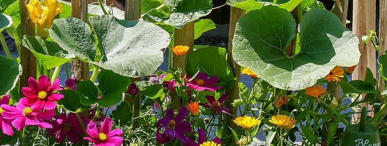 Garden - Toys - Sporting goods - Winter