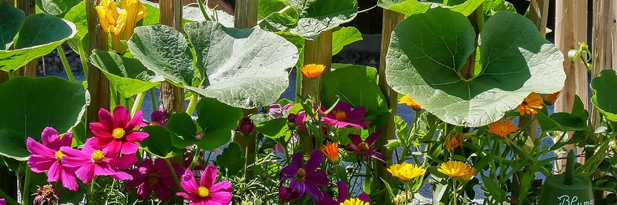 Garden - Toys - Sporting goods - Winter